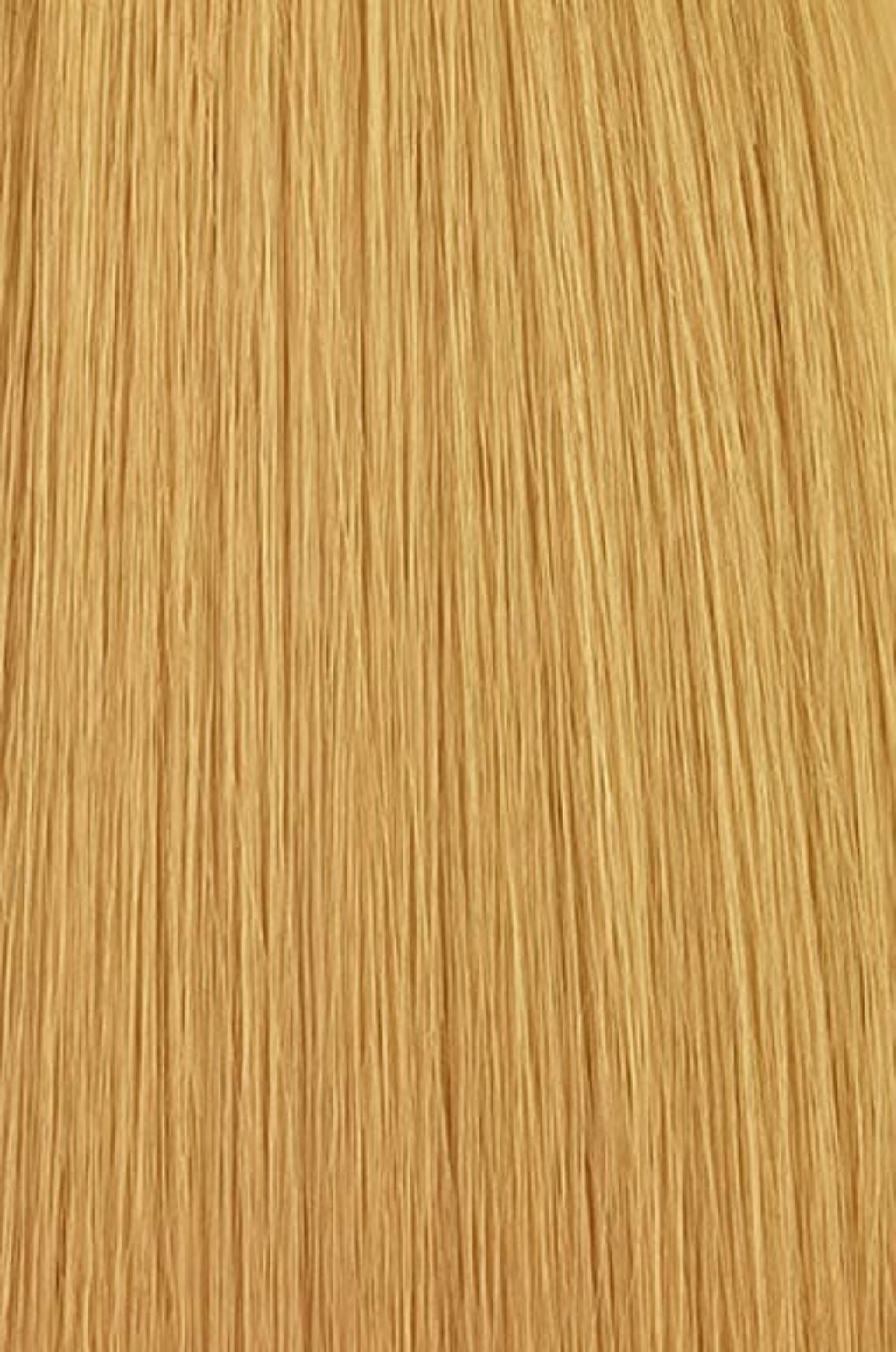 Human Hair colour swatch 613T24