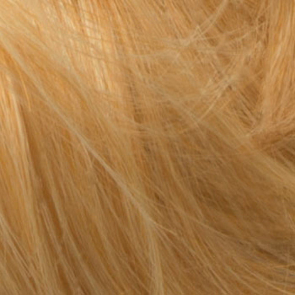 hair colour blonde 24B swatch