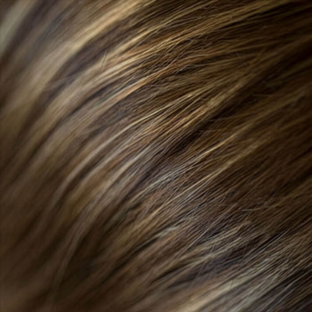 swatch brown and blonde 8H12-24