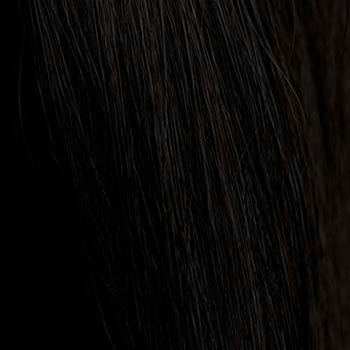 hair colour black 1B swatch