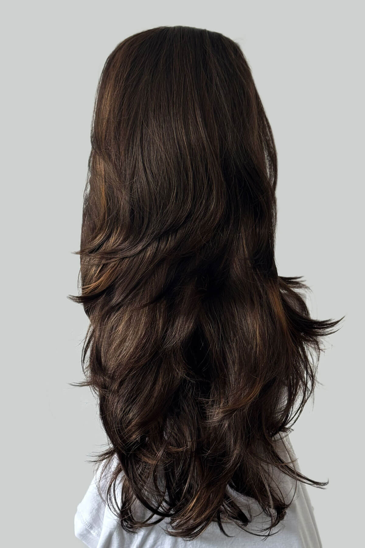 Brown half wig with blonde highlights: Rebecca