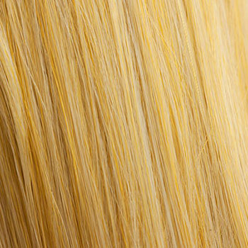hair colour ginger golden blonde 24BH613 swatch